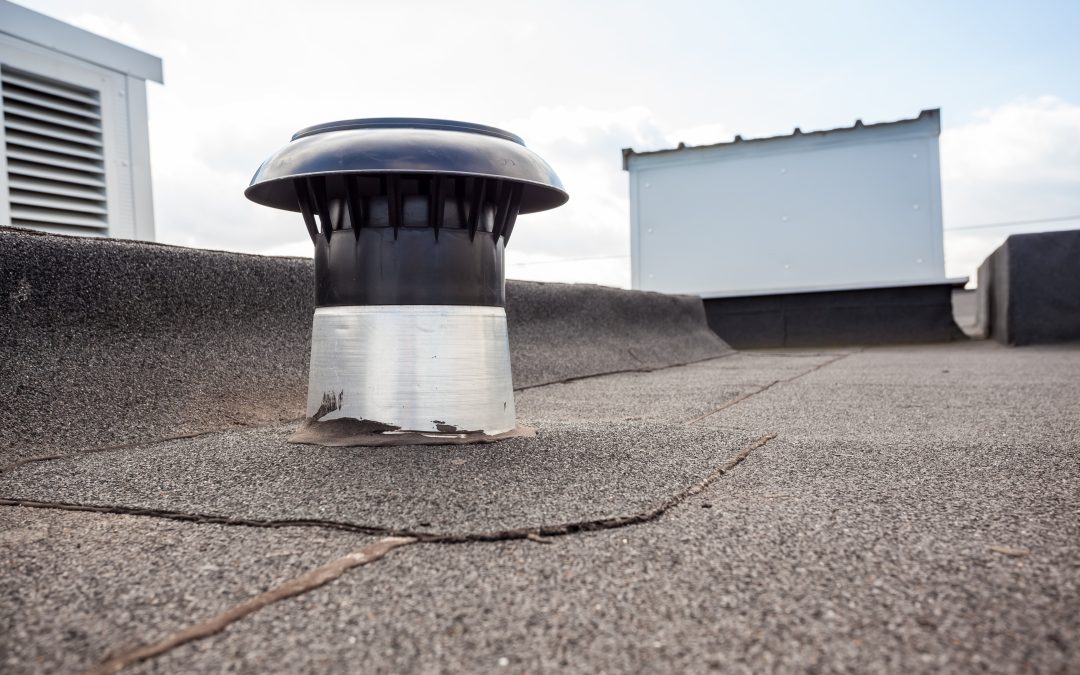 Embrace Natural Cooling with Skydome Ventilation in Australian Homes