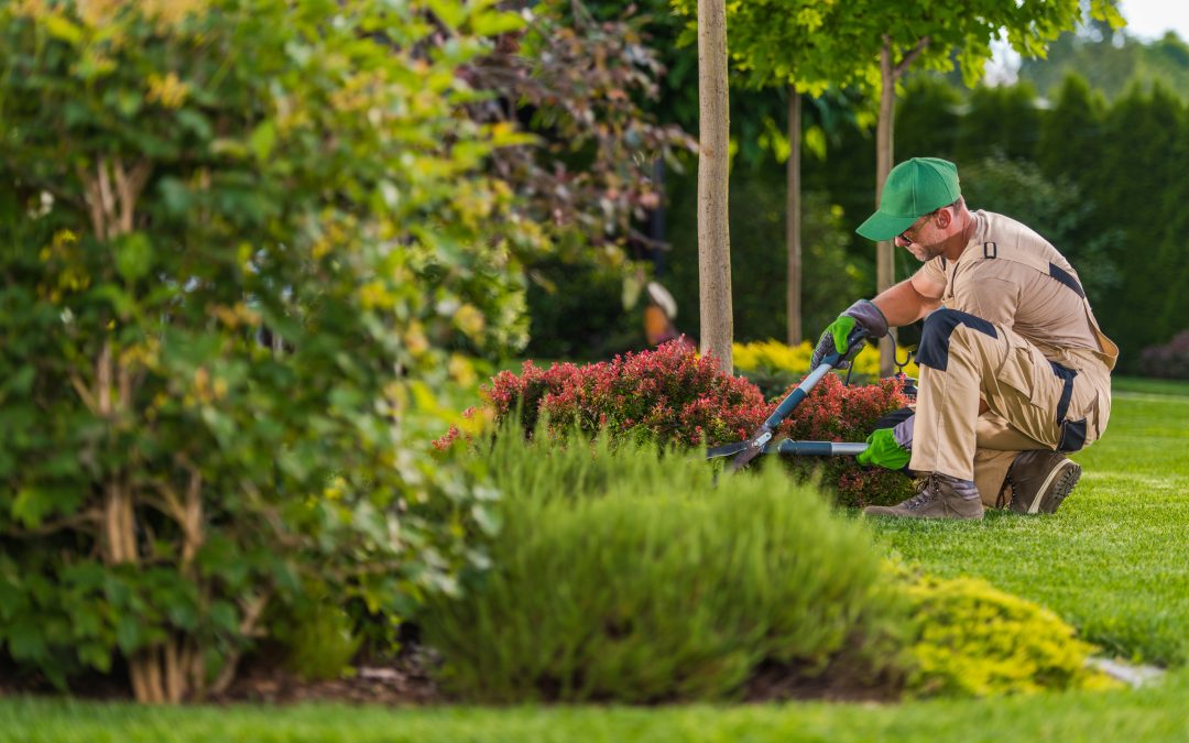 Common Signs You Need a Sprinkler Repair Contractor in Midland, MI for System Issues